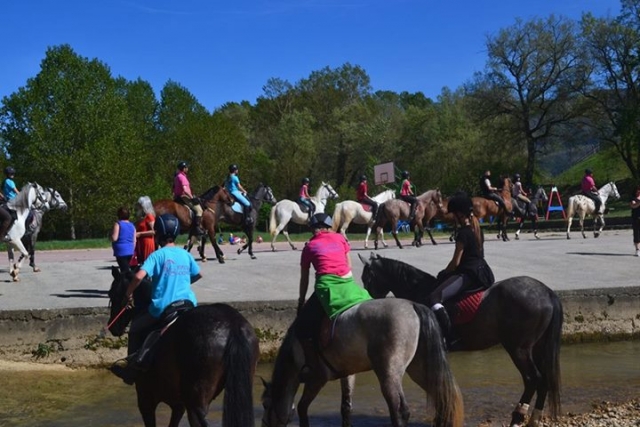 Campamento de hipica